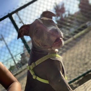 Meet your Posher, Carla